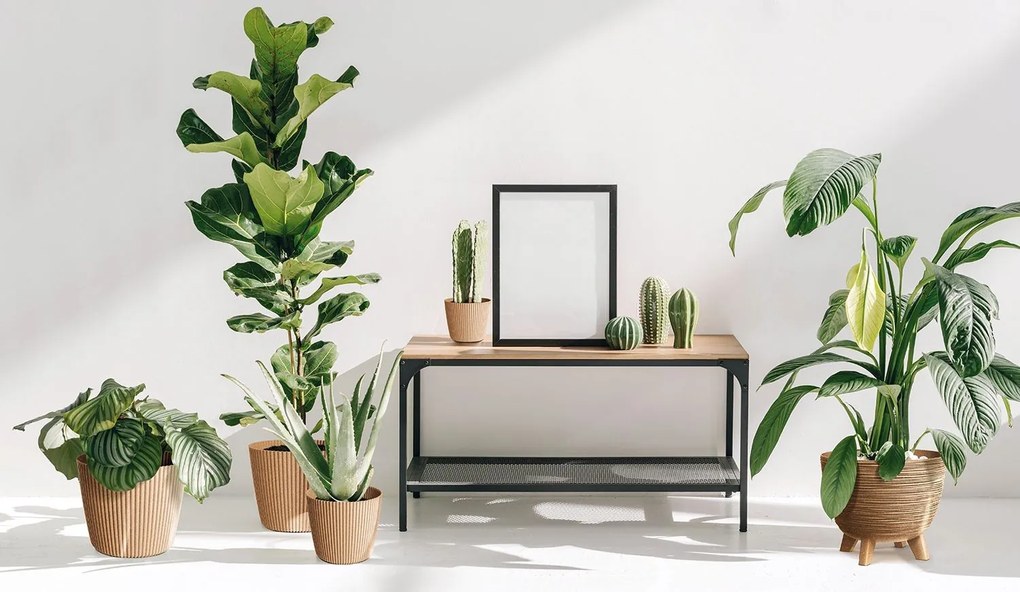 Kvetináč FURA I - výber z 5 prevedení