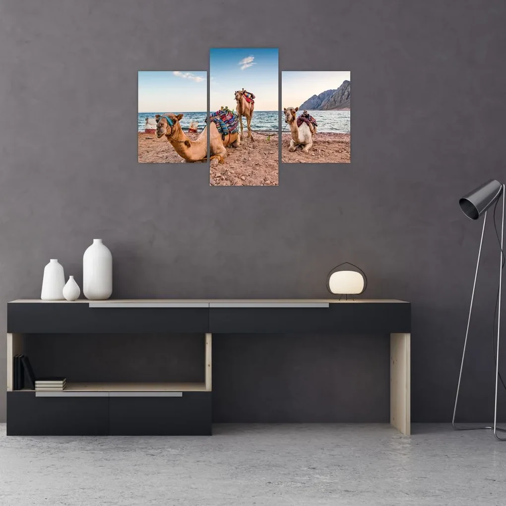 Obraz tiav (90x60 cm)