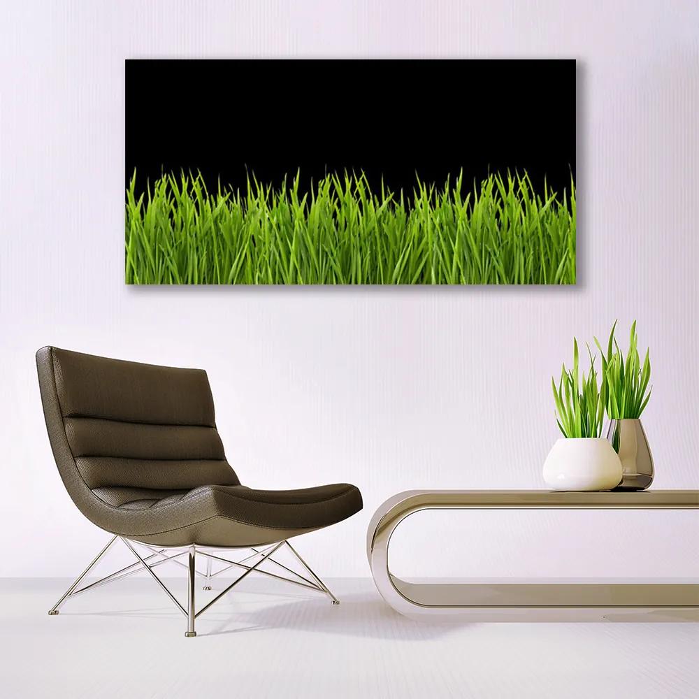 Obraz plexi Zelená tráva príroda 120x60 cm