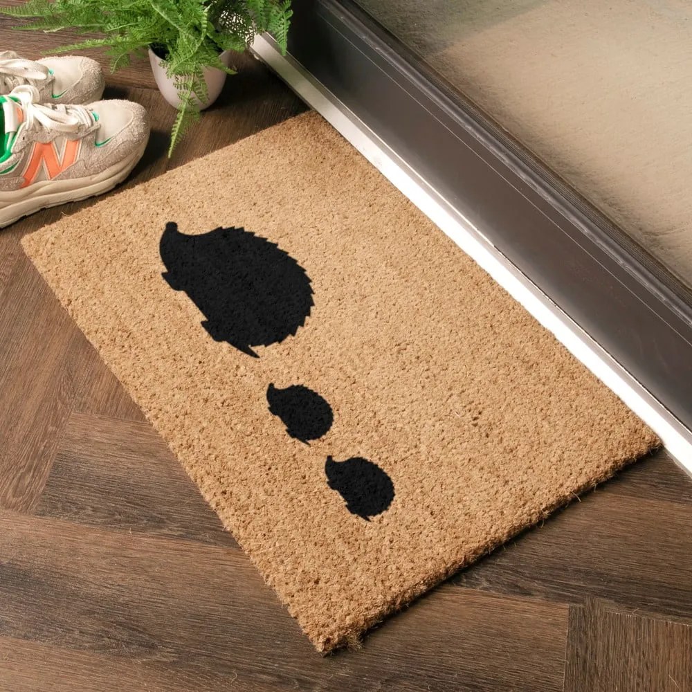 Rohožka z kokosového vlákna 40x60 cm Hedgehog Family – Artsy Doormats