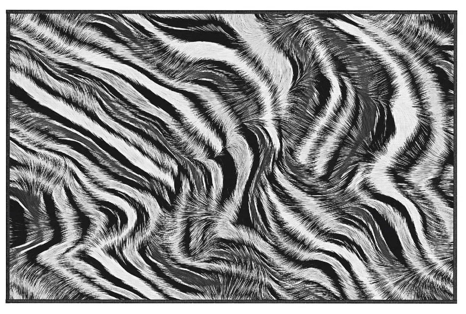 Koberec Oyo home Zebra, 100 x 140 cm