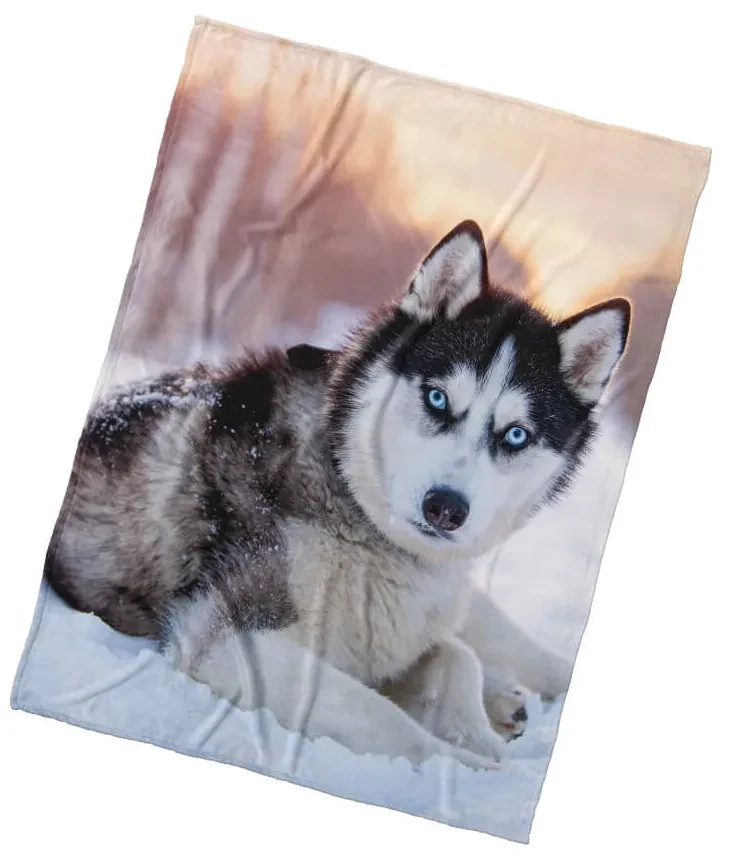 Mikroplyšová deka Pes Sibírsky husky 150x200 cm