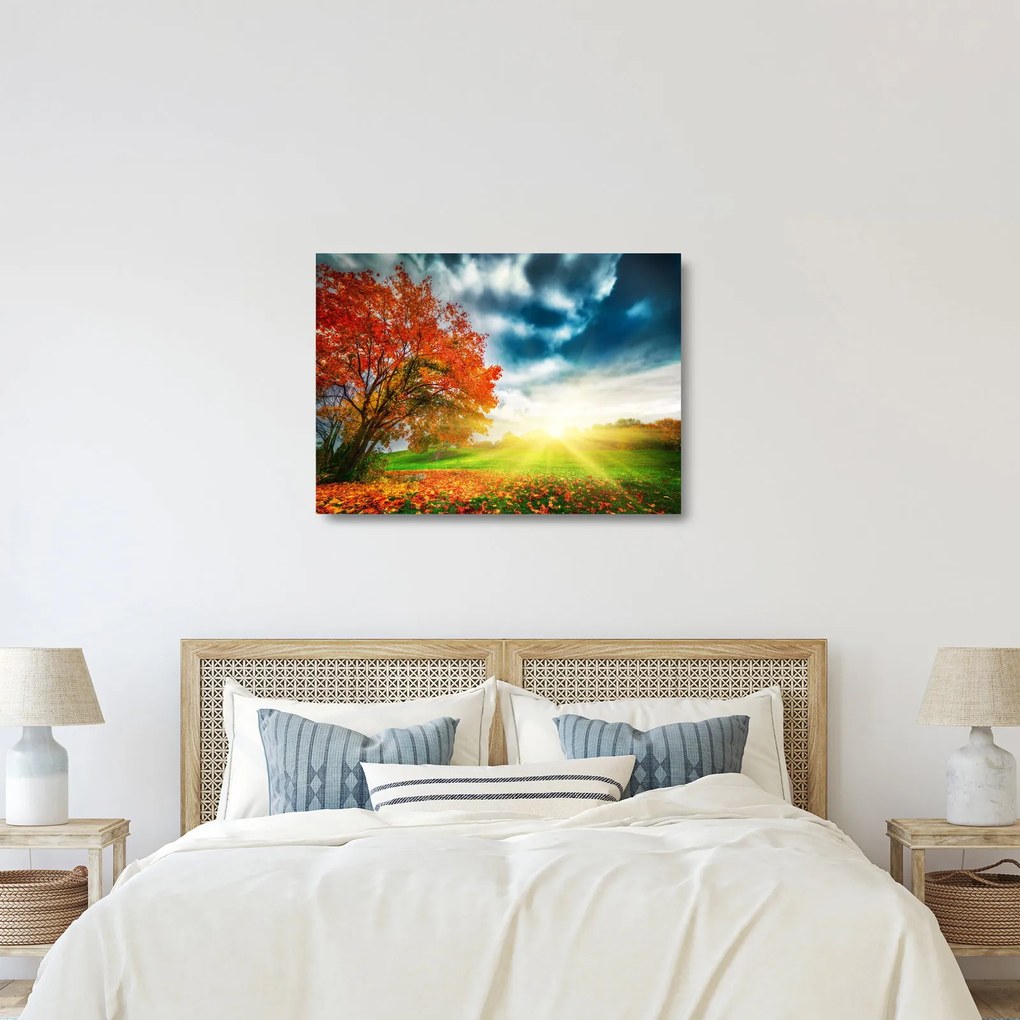 Sklenený obraz krajiny zaliate slnečným svitom (70x50 cm)