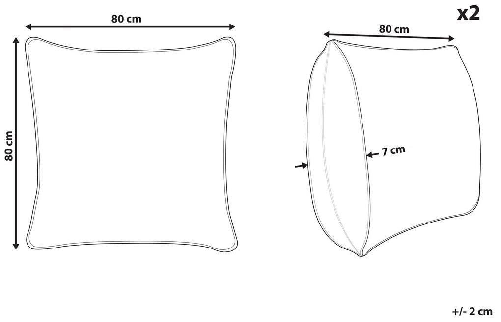 Sada 2 vankúšov z mikrovlákna 80 x 80 cm PELISTER Beliani