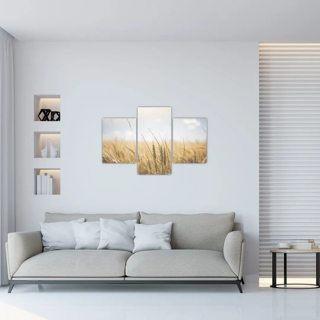 Obraz obilia (90x60 cm)