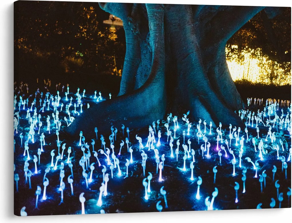 Obraz - Magický strom (70x50 cm)