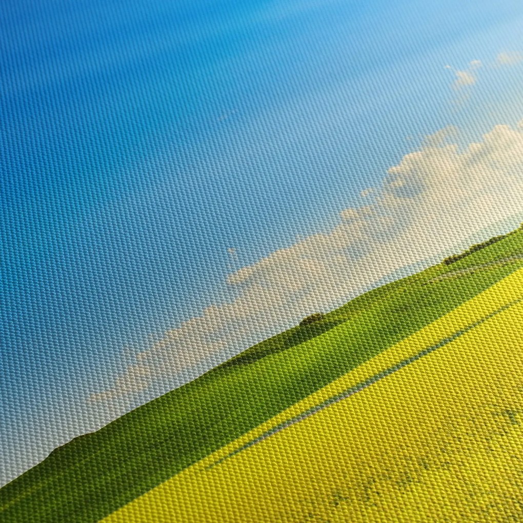 Obraz - Jarné nebo (90x60 cm)