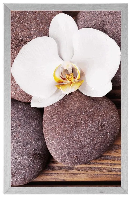Plagát wellness kamene a orchidea na drevenom pozadí - 30x45 white