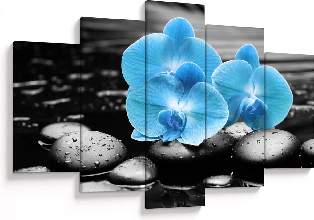 Obraz - Modrá orchidea (150x105 cm)