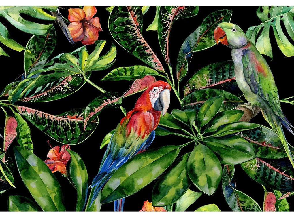 Plátno maľba Tropical Birds