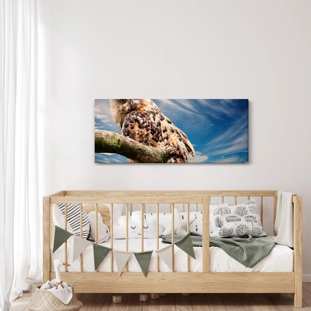 Obraz - Sova (120x50 cm)