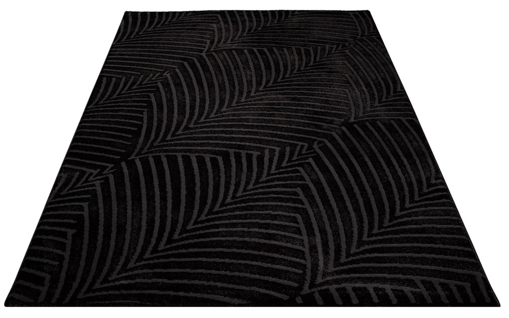 Dekorstudio Jednofarebný koberec FANCY 648 - čierny Rozmer koberca: 200x290cm