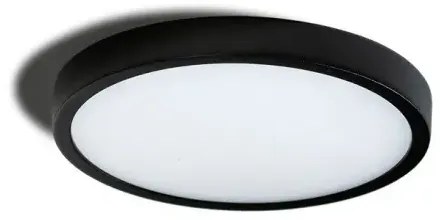 LED stropné svietidlo Malta R 30 4000K čierne