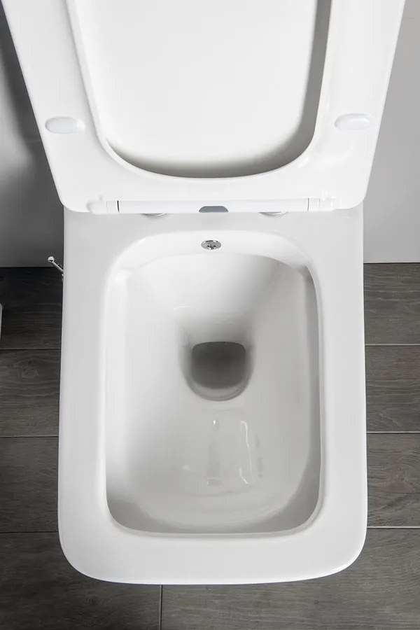 Sapho Sapho, PORTO CLEANWASH závesná WC misa Rimless, integrovaná batéria a bidetová spŕška 36x52cm, biela, PZ102RX