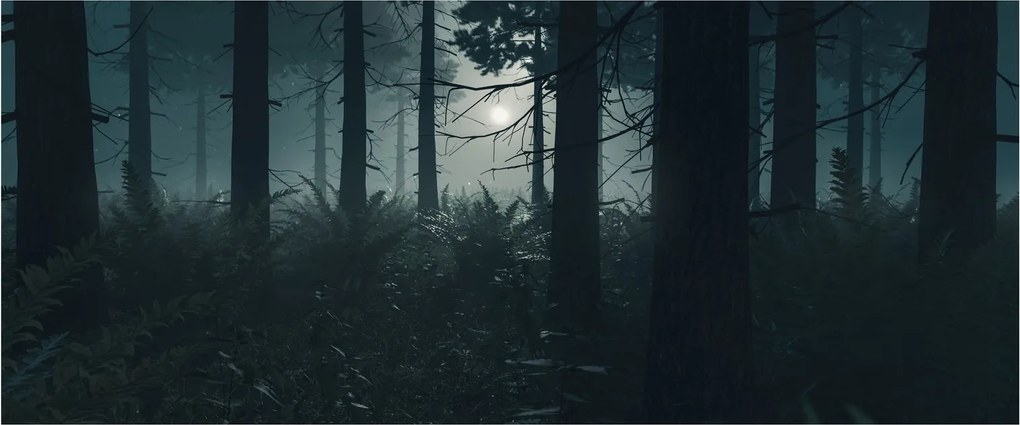 Obraz - Paprade v mesačnom svite (120x50 cm)