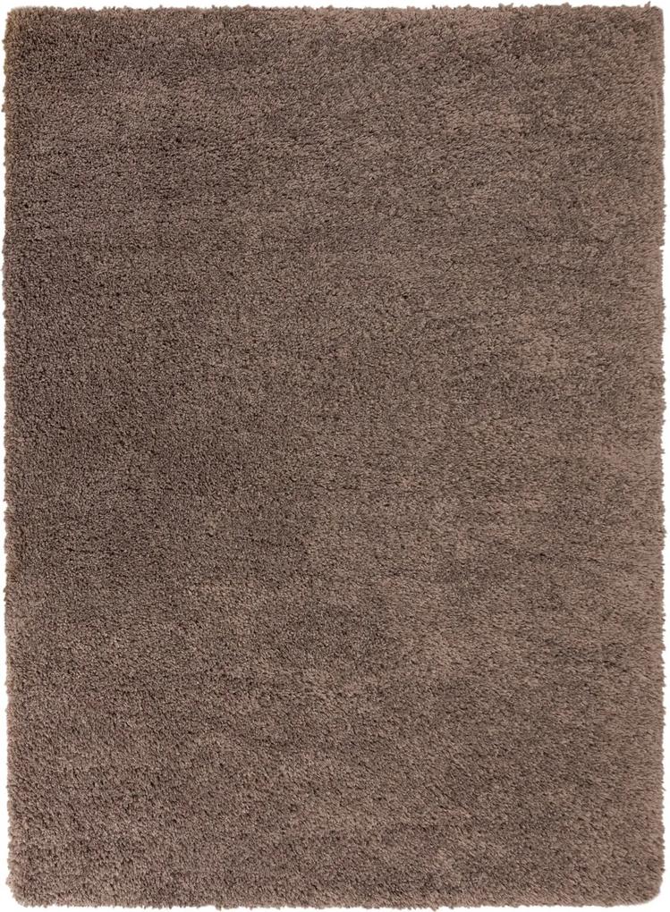 Flair Rugs koberce Kusový koberec Brilliance Sparks Light-brown - 80x150 cm