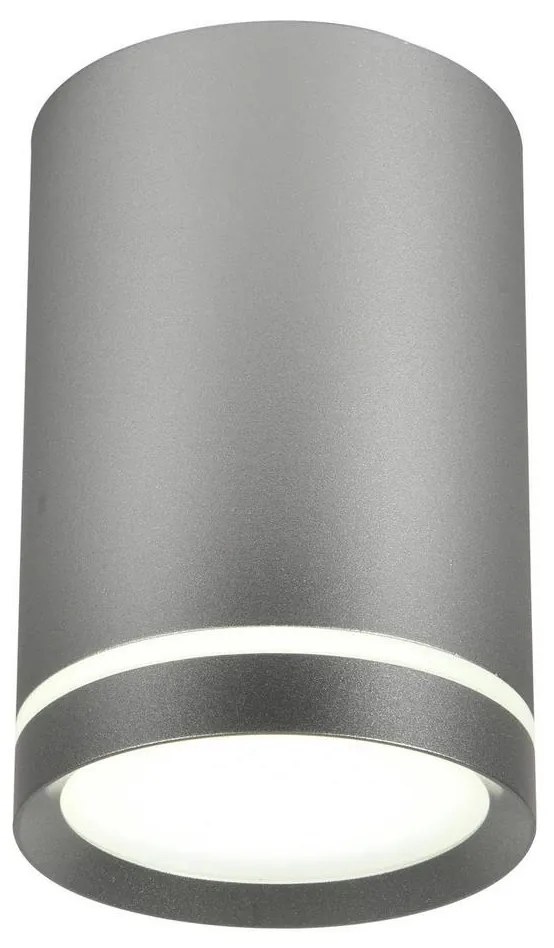 Stropné svietidlo TUBA GU10/15W/230V