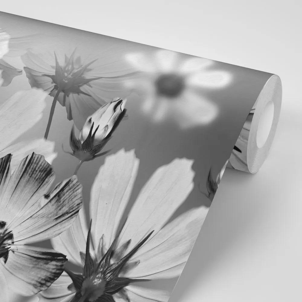 Samolepiaca tapeta kvety v čiernobielom prevedení - 300x200