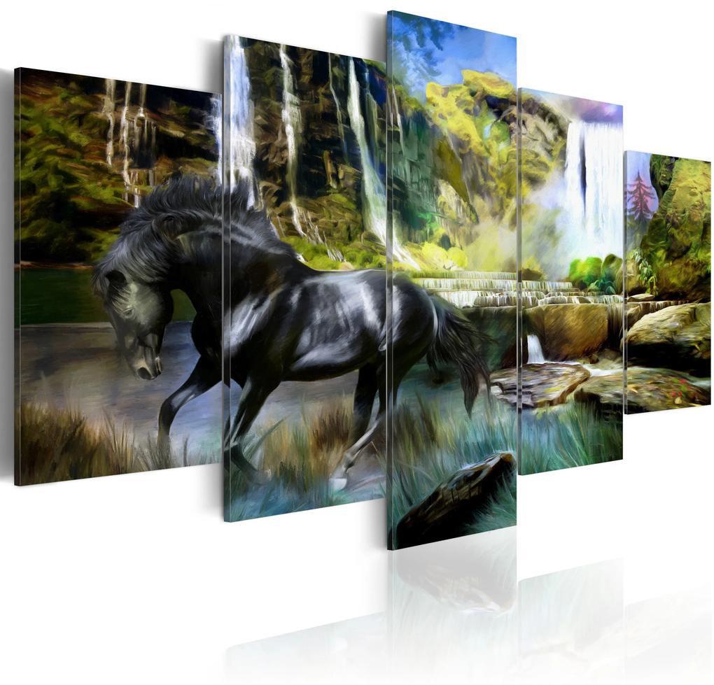 Artgeist Obraz - Black horse on the background of paradise waterfall Veľkosť: 100x50, Verzia: Na talianskom plátne