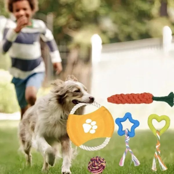 Sada 16 hračiek pre psov