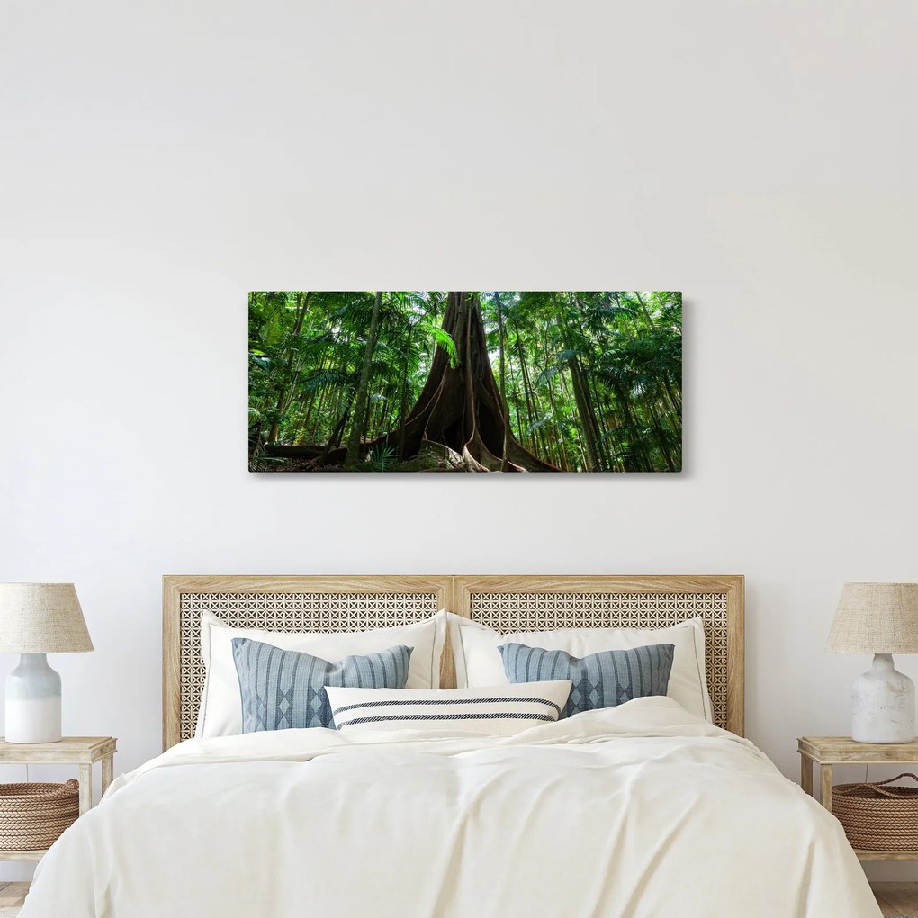 Obraz - Korene stromu (120x50 cm)