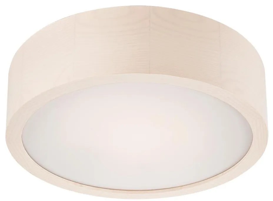 LED stropné svietidlo 1xLED/12W/230V