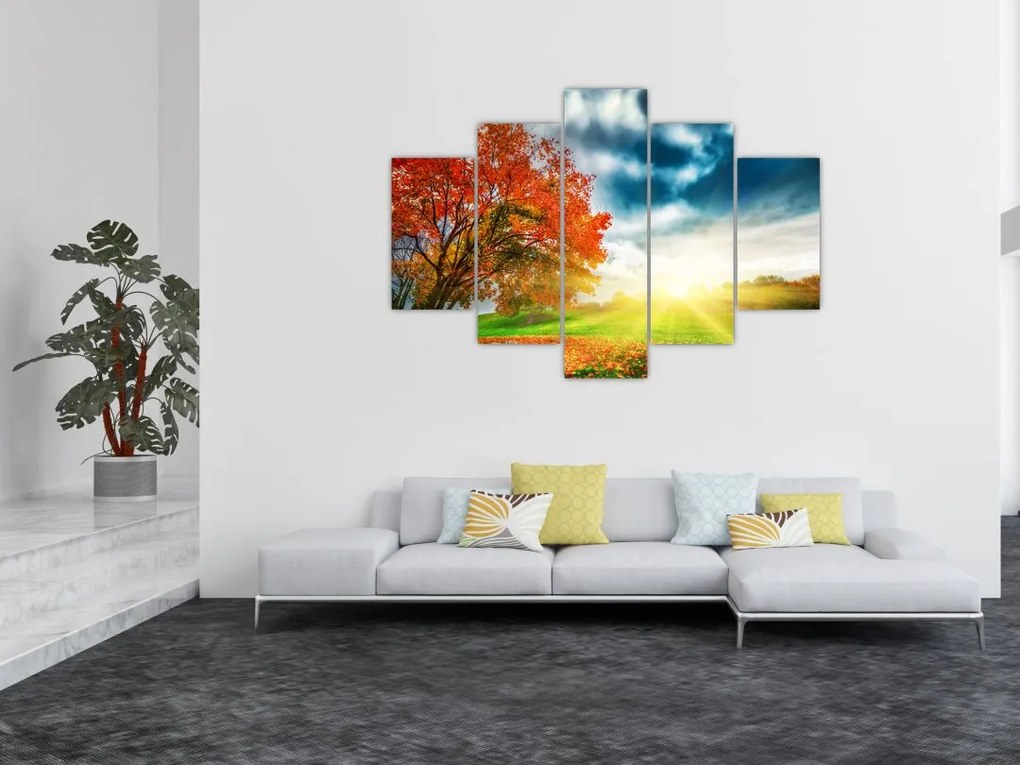 Obraz krajiny zaliate slnečným svitom (150x105 cm)