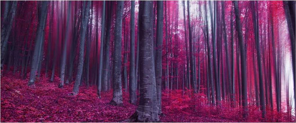 Obraz ružového lesa (120x50 cm)