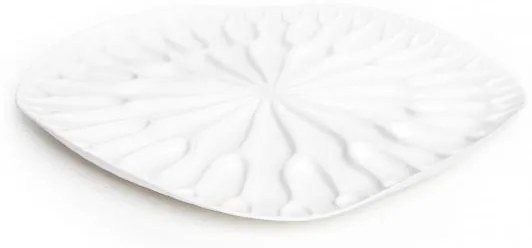 Odkapávač Qualy Baibua Tray, biely