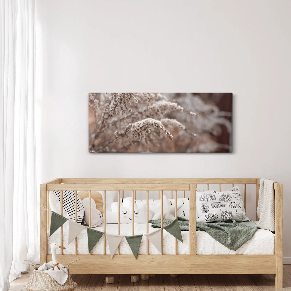 Obraz rastlín (120x50 cm)