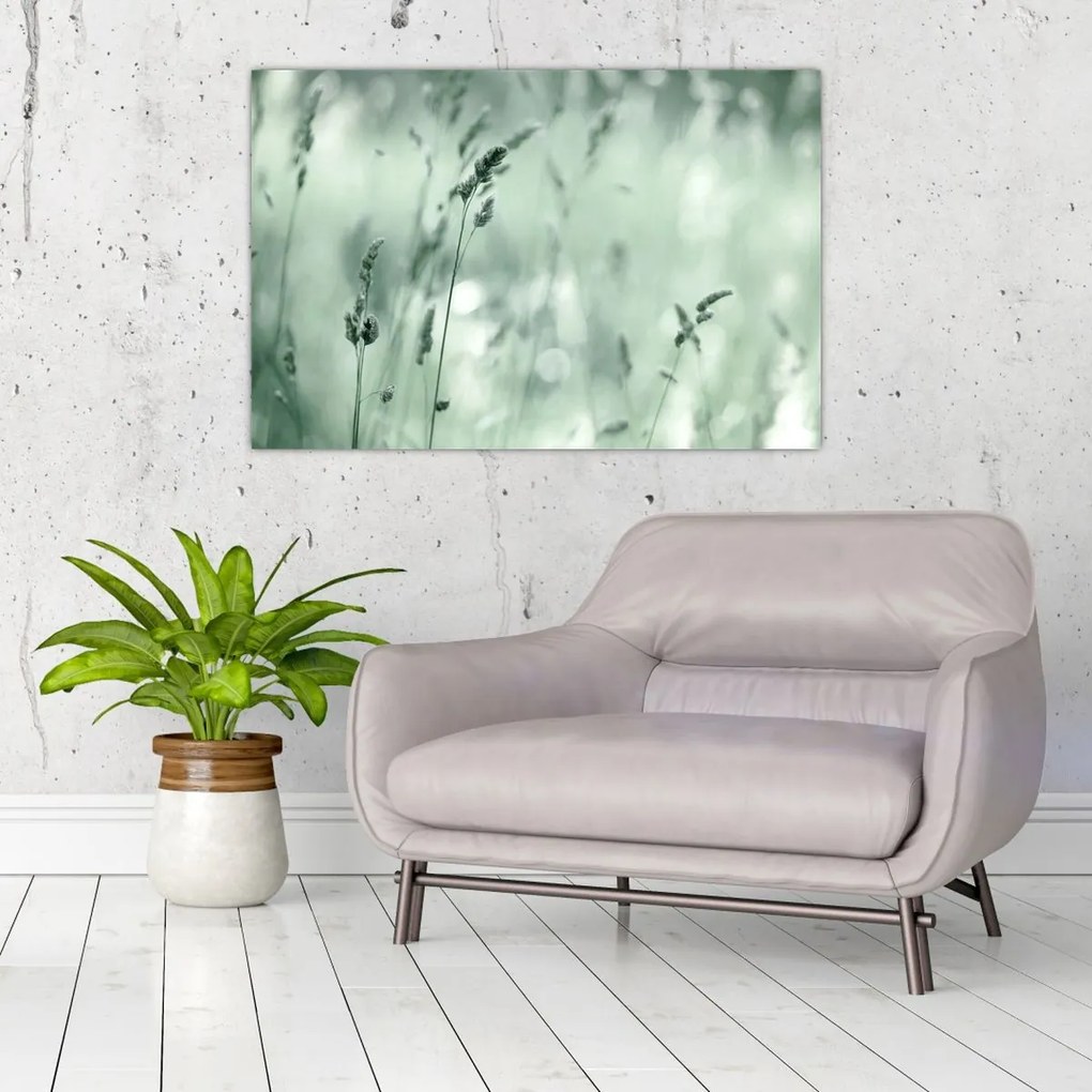 Obraz - Zelená lúka (90x60 cm)