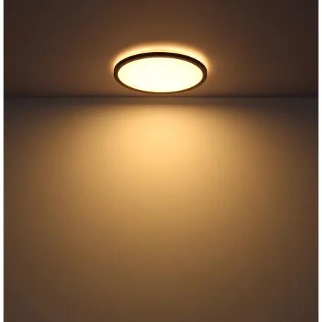 GLOBO stropné svietidlo LED 41562-24B