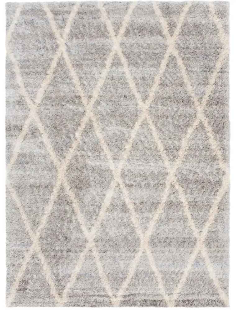 Kusový koberec shaggy Ender sivý 140x200cm