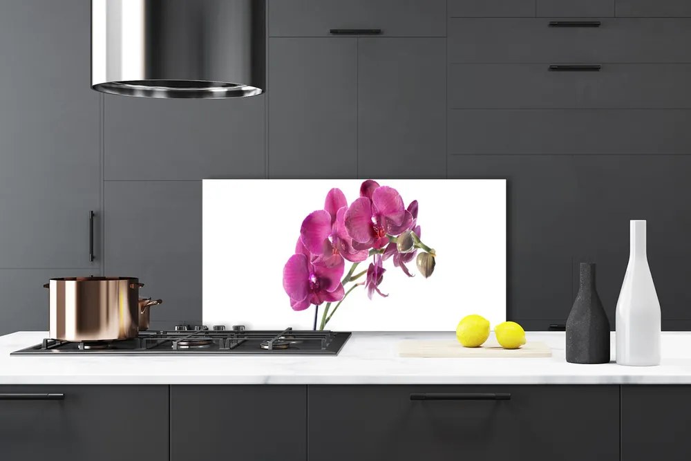 Sklenený obklad Do kuchyne Orchidea kvety príroda 120x60 cm