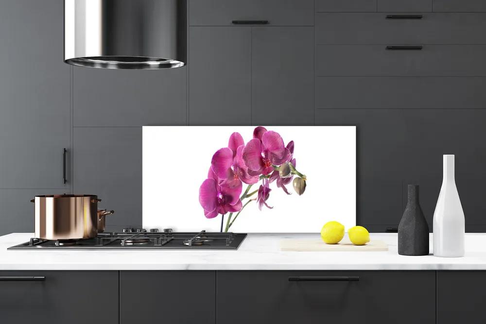 Sklenený obklad Do kuchyne Orchidea kvety príroda 140x70 cm
