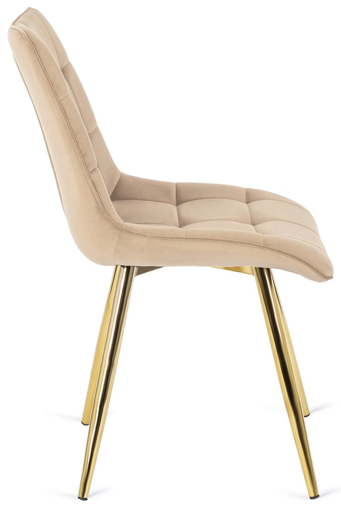 PROXIMA.store - Čalúnená jedálenská stolička CARO FARBA: sivá