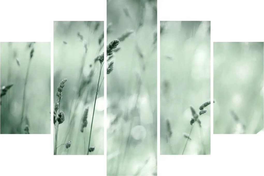Obraz - Zelená lúka (150x105 cm)