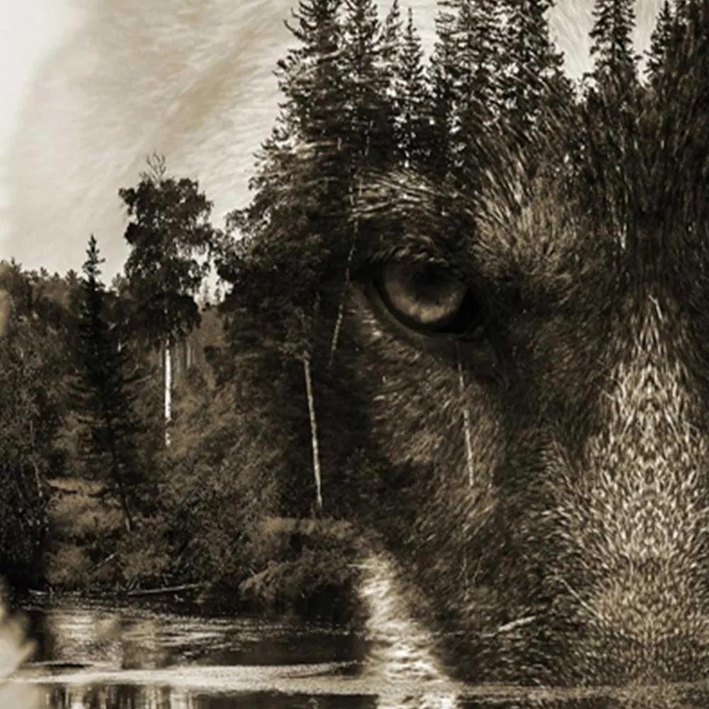 Ozdobný paraván Vlk Lesní zvířata Příroda - 180x170 cm, päťdielny, obojstranný paraván 360°