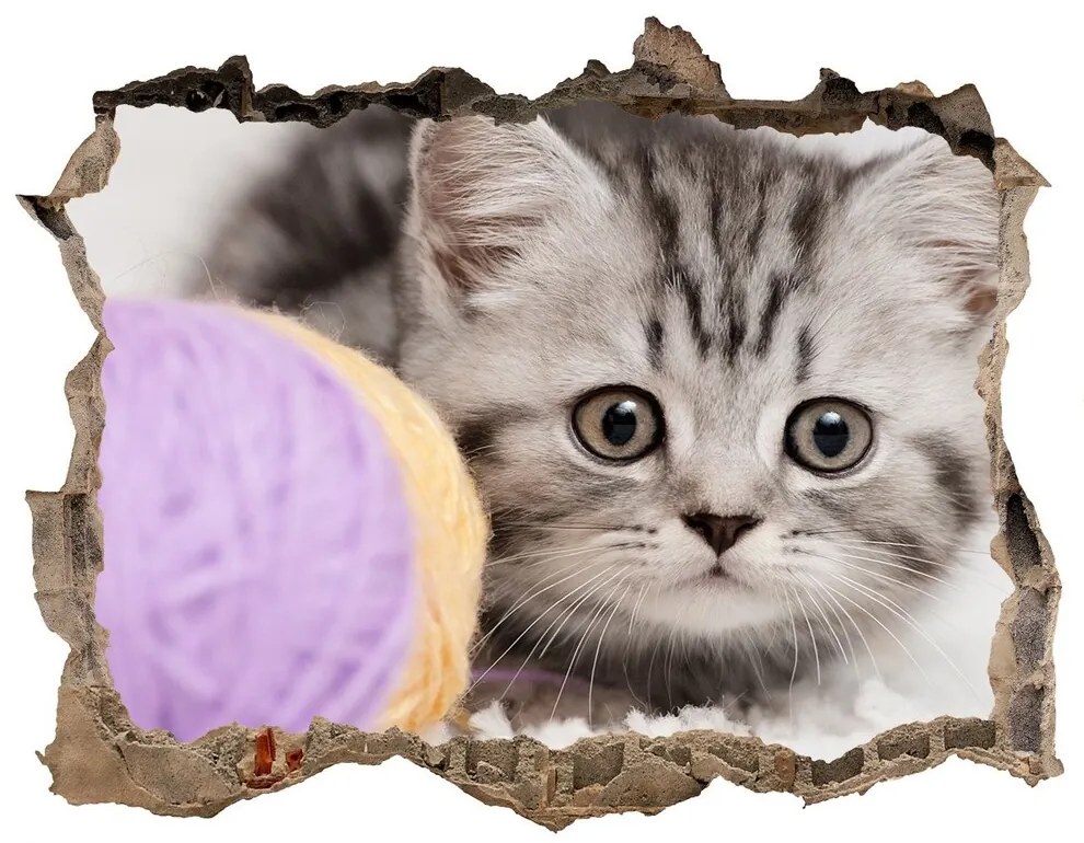 Díra 3D fototapeta nálepka Mačka s motko nd-k-58337219