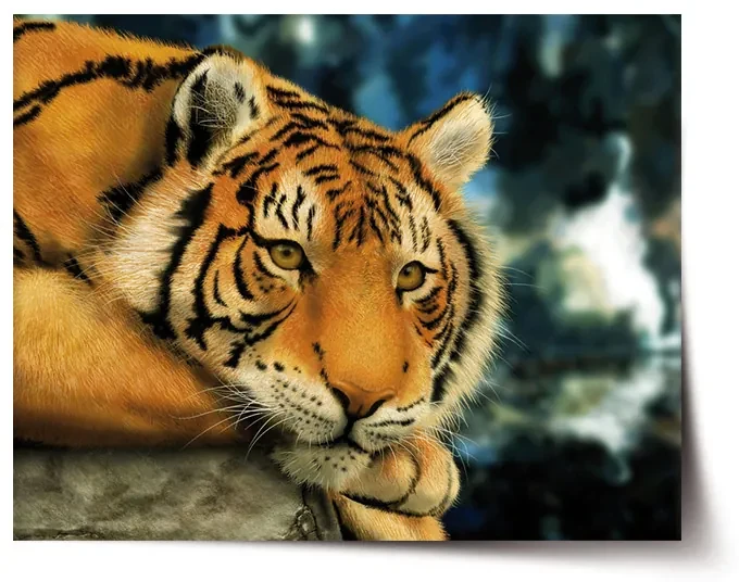 Sablio Plagát tiger - 90x60 cm