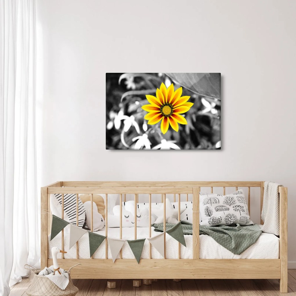 Obraz žltej kvetiny (90x60 cm)