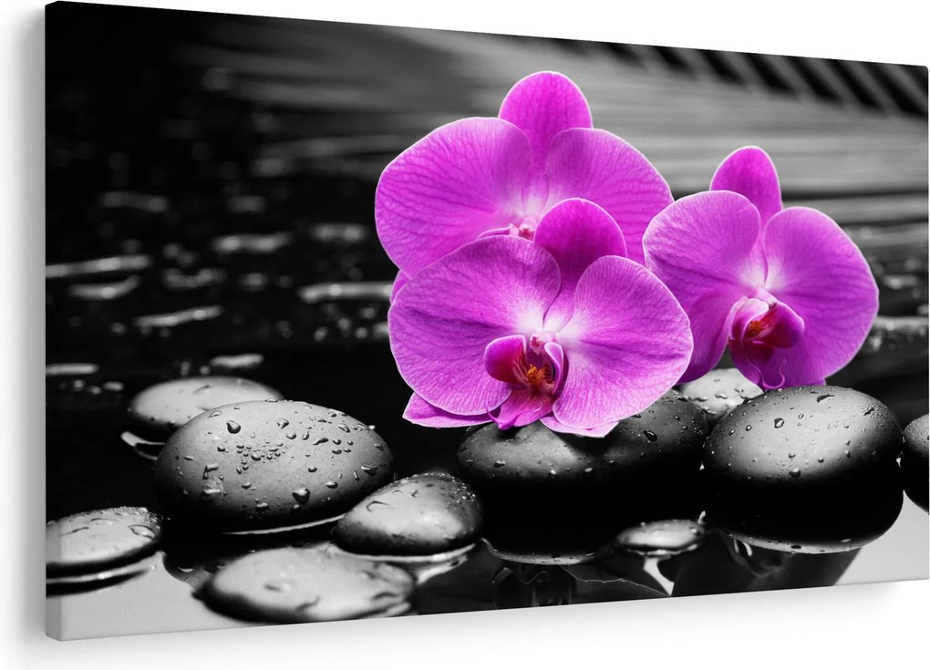Obraz - Fialové orchidey (90x60 cm)