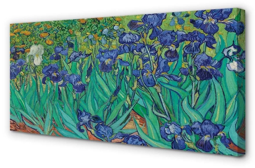 Obraz canvas Irises - Vincent van Gogh 100x50 cm