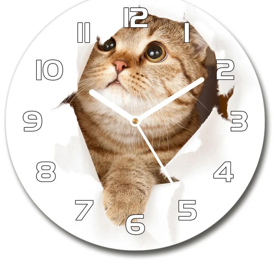 Sklenené nástenné hodiny okrúhle Mačka pl_zso_30_f_52539481