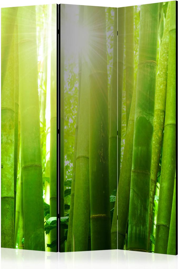 Paraván - Sun and bamboo [Room Dividers] 135x172