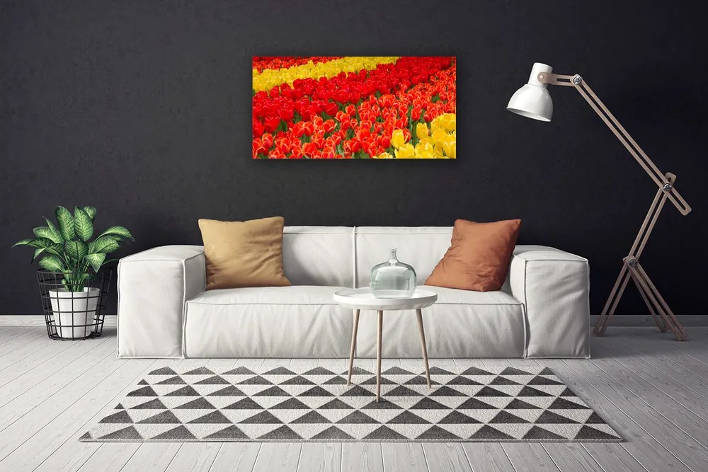 Obraz na plátne Tulipány kvety 100x50 cm