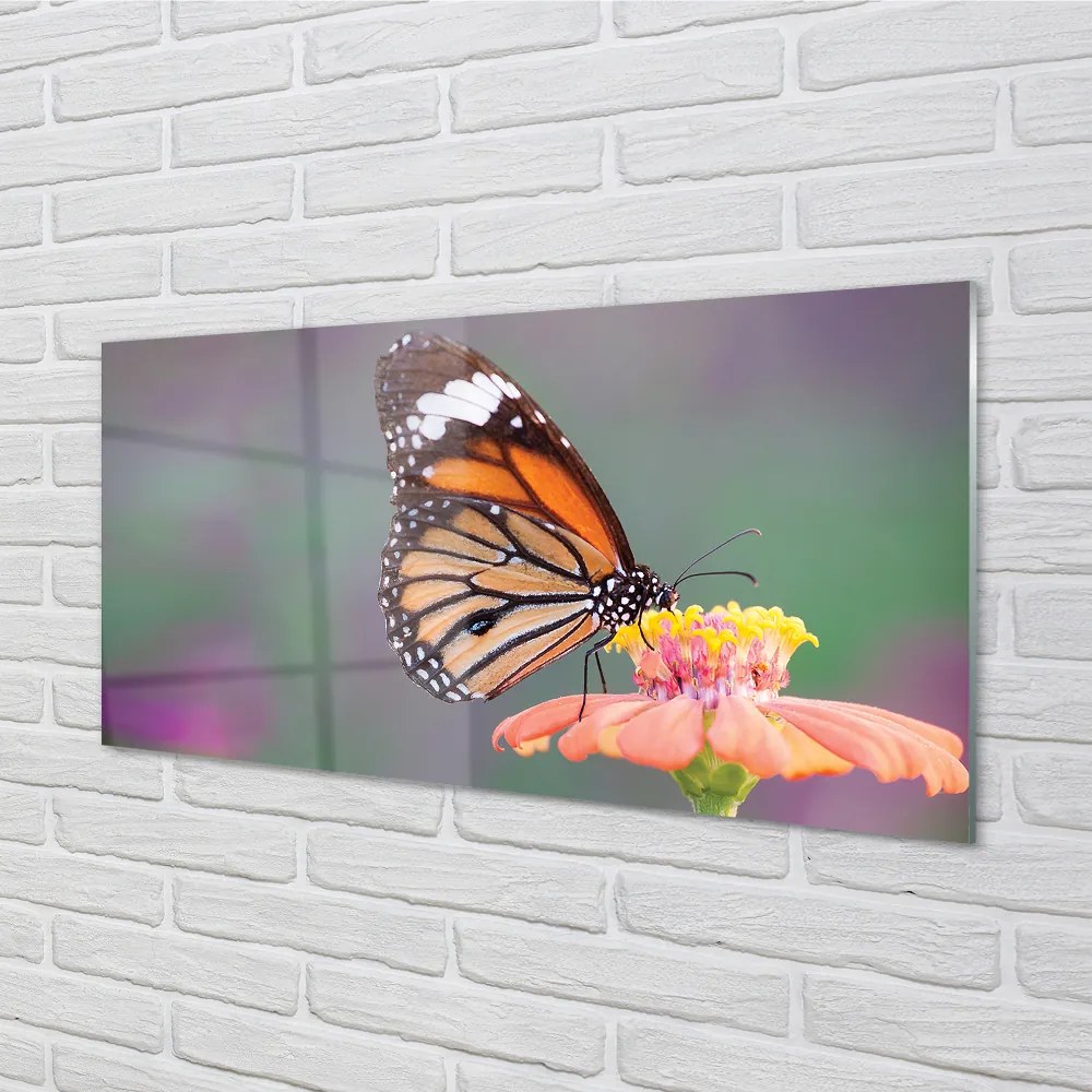 Obraz na akrylátovom skle Farebný motýľ kvetina 100x50 cm