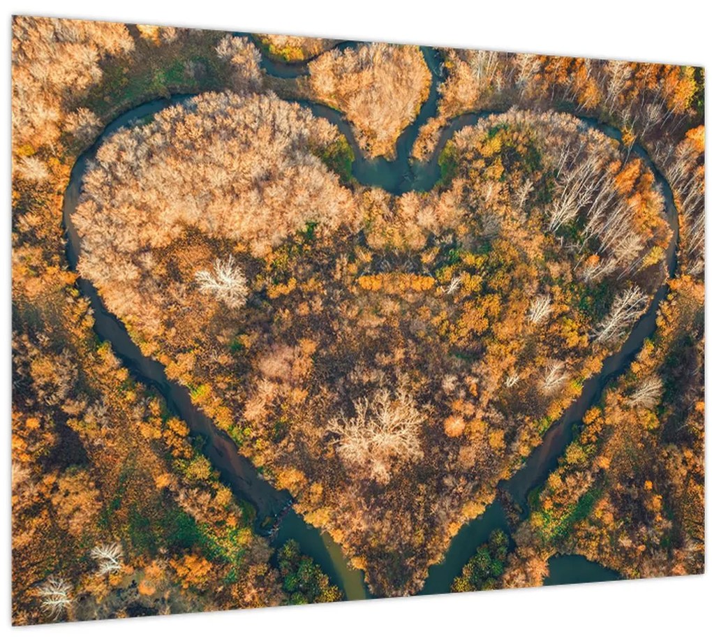 Obraz - Rieka v tvare srdca (70x50 cm)