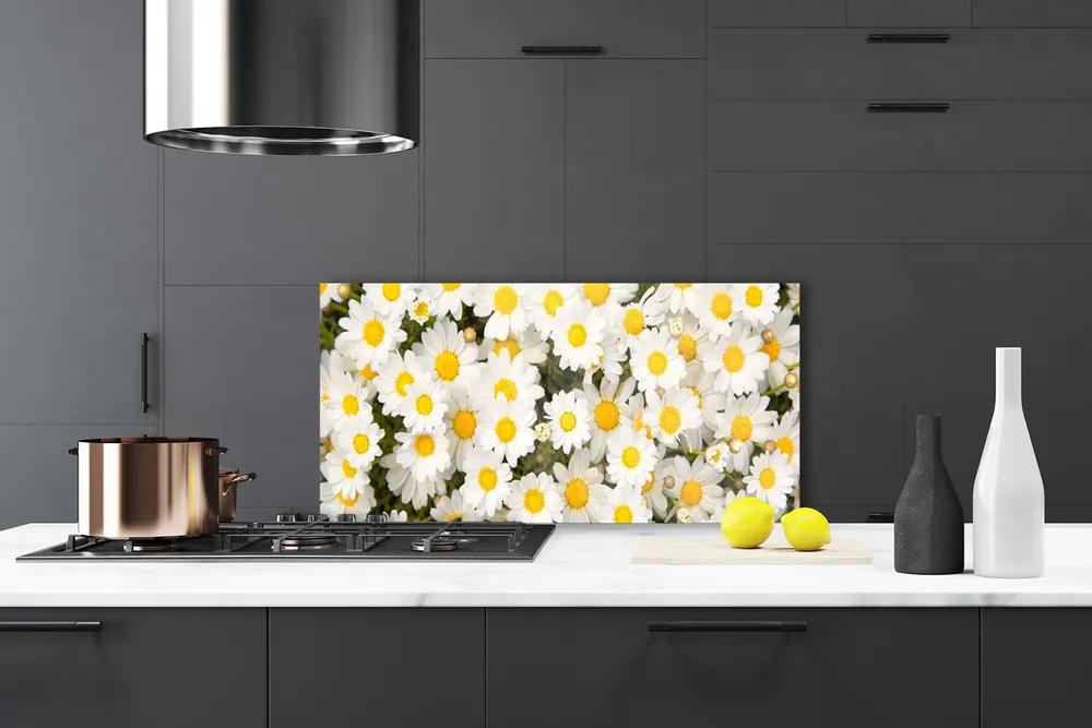 Sklenený obklad Do kuchyne Sedmokrásky kvety 125x50 cm