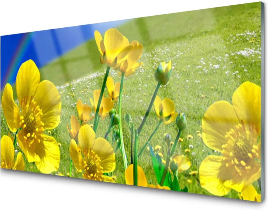 Kuchyňský skleněný panel Louka květiny duha příroda